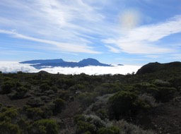 IMG_0535