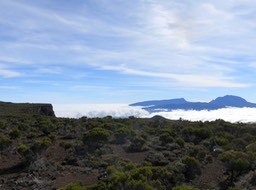IMG_0536