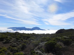 IMG_0537