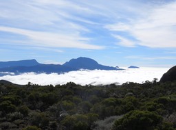 IMG_0538