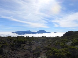 IMG_0540
