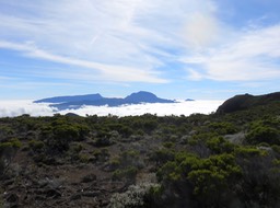 IMG_0541