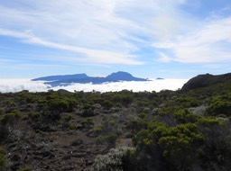 IMG_0542