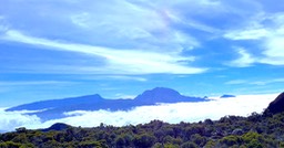 IMG_1432