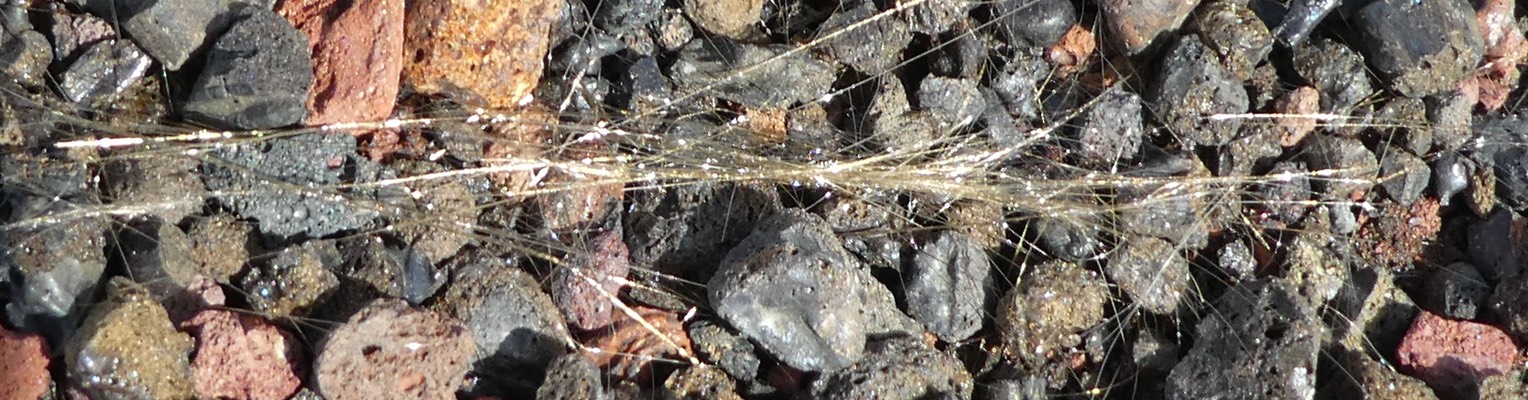 P1080053++