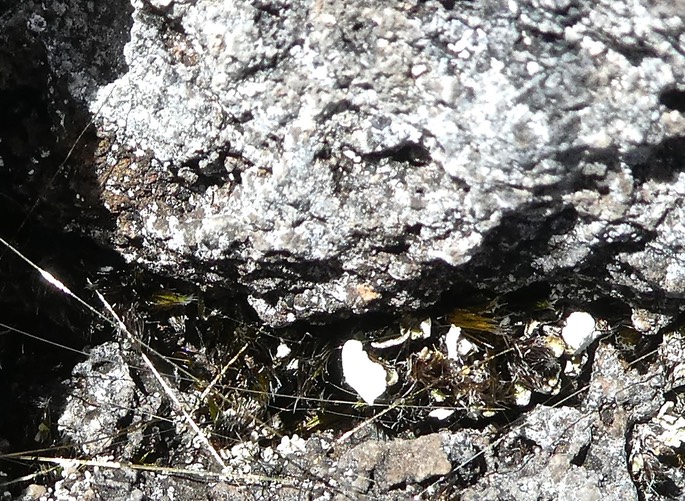 P1740804