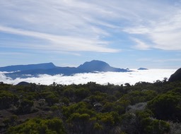 Piton de fin d'après-midi, c'est très réussi ! 