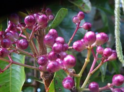 DSC03591
