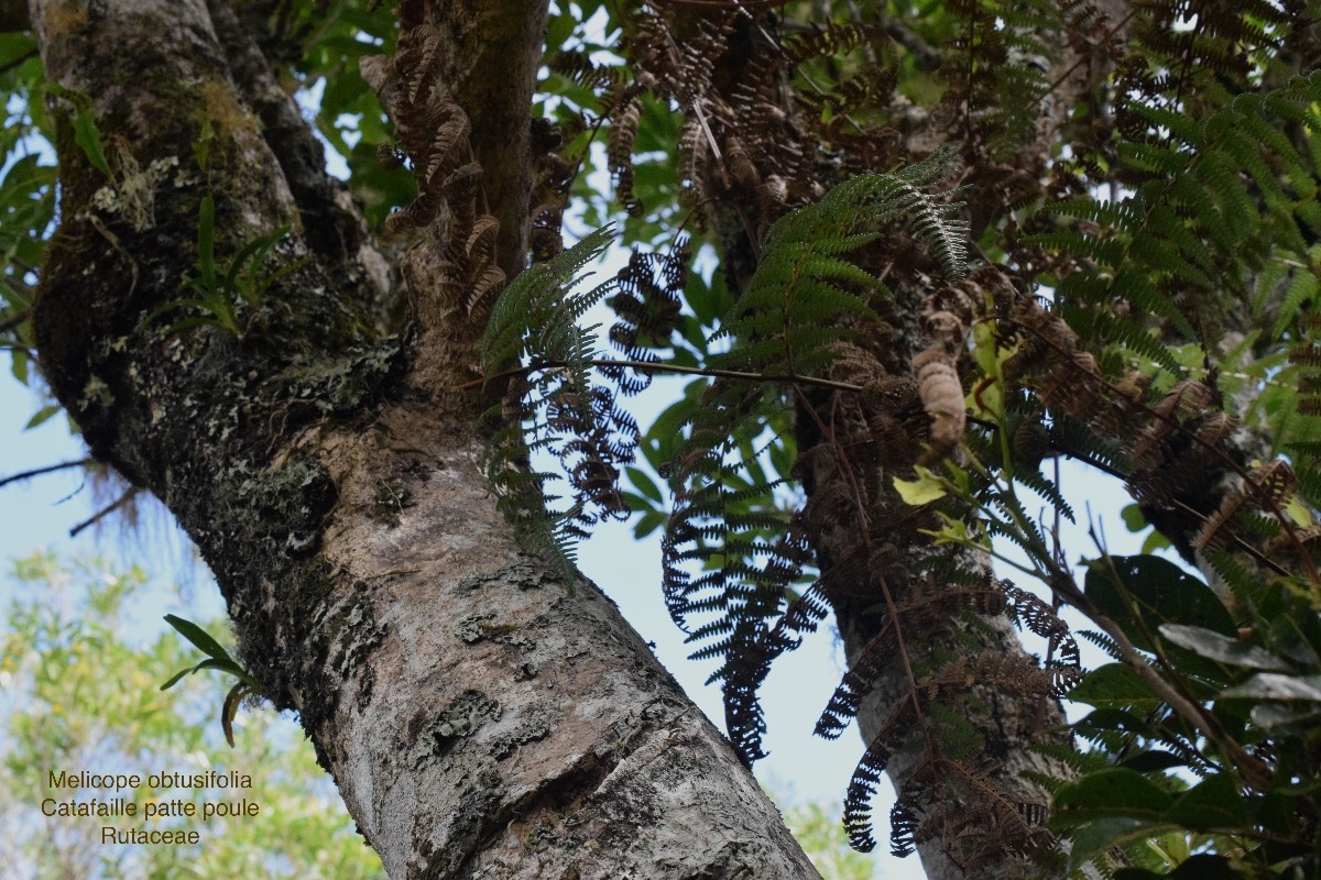 DSC_8038
