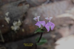 DSC_8122