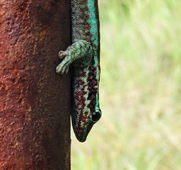 IMG_3302