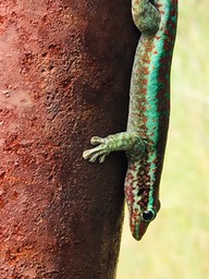 IMG_3304