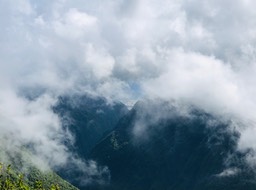 IMG_3314