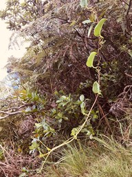 IMG_3322