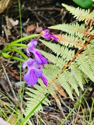 IMG_3331