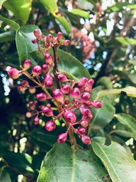 IMG_3356