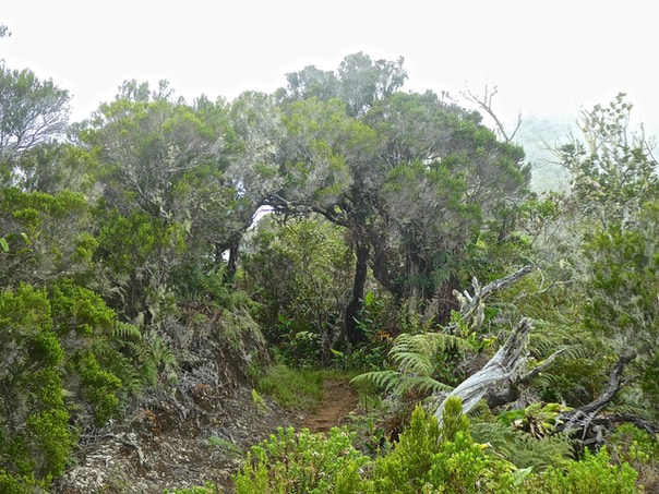 P1500394