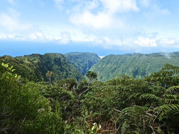 P1500507