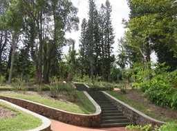 Roseraie Monique Paternoster pour la mise en valeur des Roses Bourbon