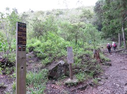 2. Début du sentier de la Roche Merveilleuse au départ du Plateau des Chênes