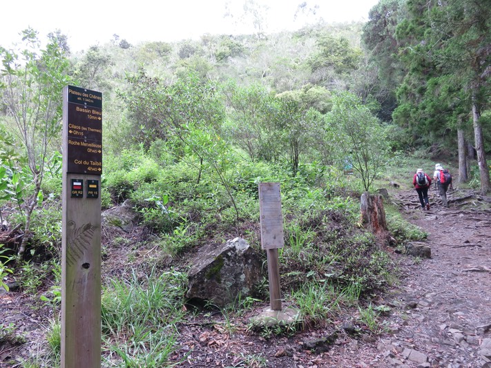 2. Début du sentier de la Roche Merveilleuse au départ du Plateau des Chênes