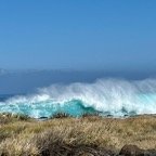 IMG_6195.jpeg