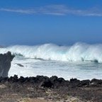 IMG_6386.jpeg