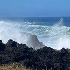 IMG_6459.jpeg
