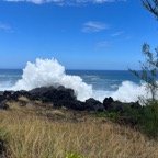 IMG_6480.jpeg