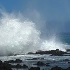IMG_3747.jpg