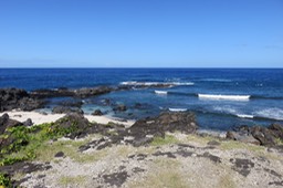 IMG_1293