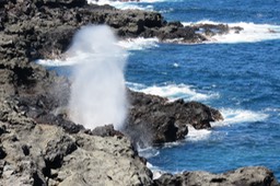 IMG_1312