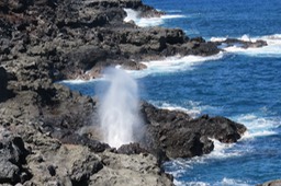 IMG_1314