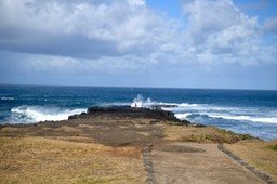 DSC_5469