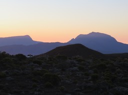 IMG_1054