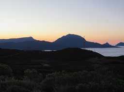 IMG_1063