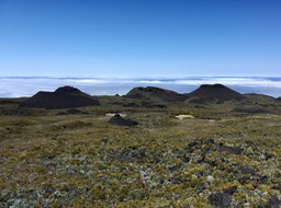 IMG_1924