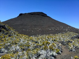IMG_2011