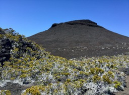 IMG_2025