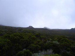 IMG_0568