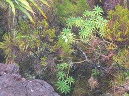 IMG_0576