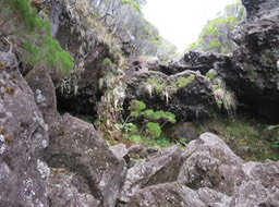 19. L'écrin IMG_2418.JPG