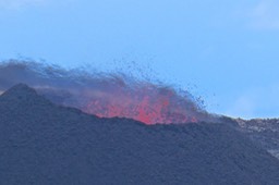Piton de la Fournaise . le 04/01/2022 P1024277