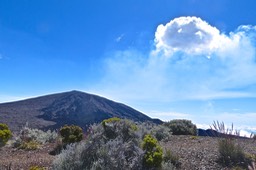 Piton de la Fournaise.P1024206