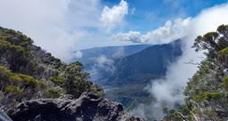 Vue sur grand Coude, rivière Langevin au cassé de la ravine aux Heterochaenia