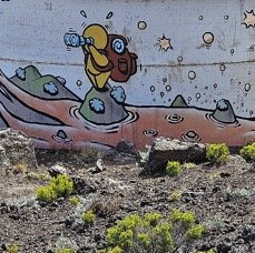 29  Le gouzou du Volcan .jpeg
