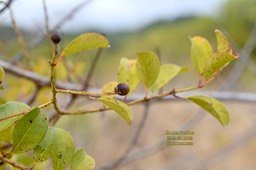 DSC_2563