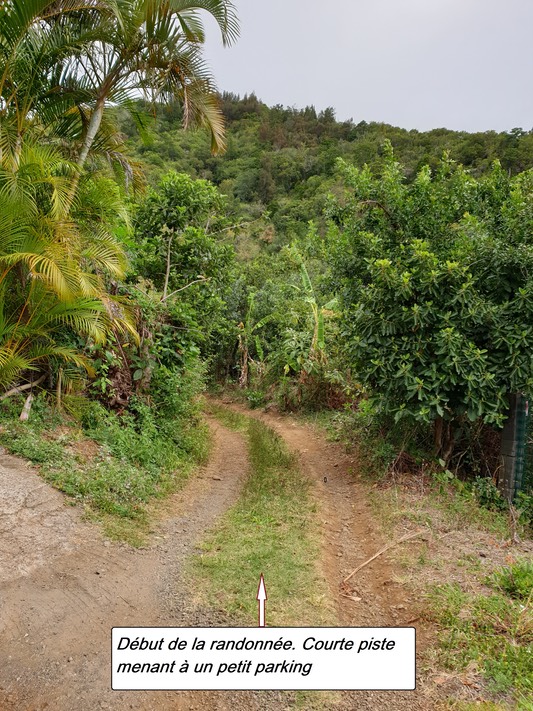 2- La piste