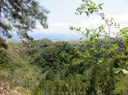 3. Vue en direction de Gillot l'aéroport