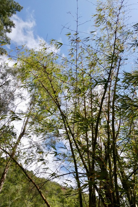 P1036500